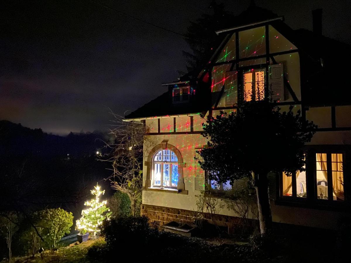 La Dependance De La Villa Des Oiseaux - La Petite Pierre Dış mekan fotoğraf