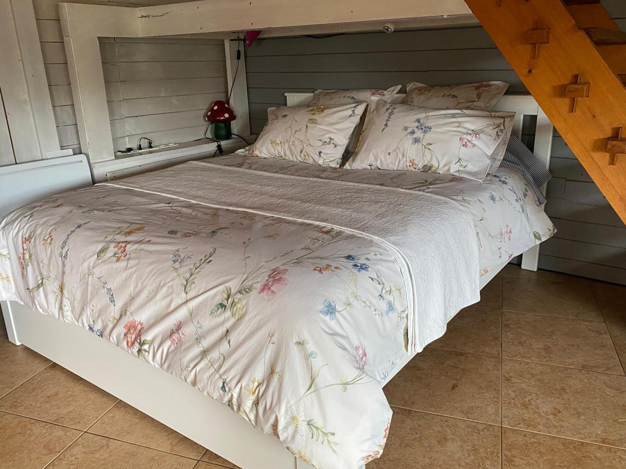 La Dependance De La Villa Des Oiseaux - La Petite Pierre Dış mekan fotoğraf
