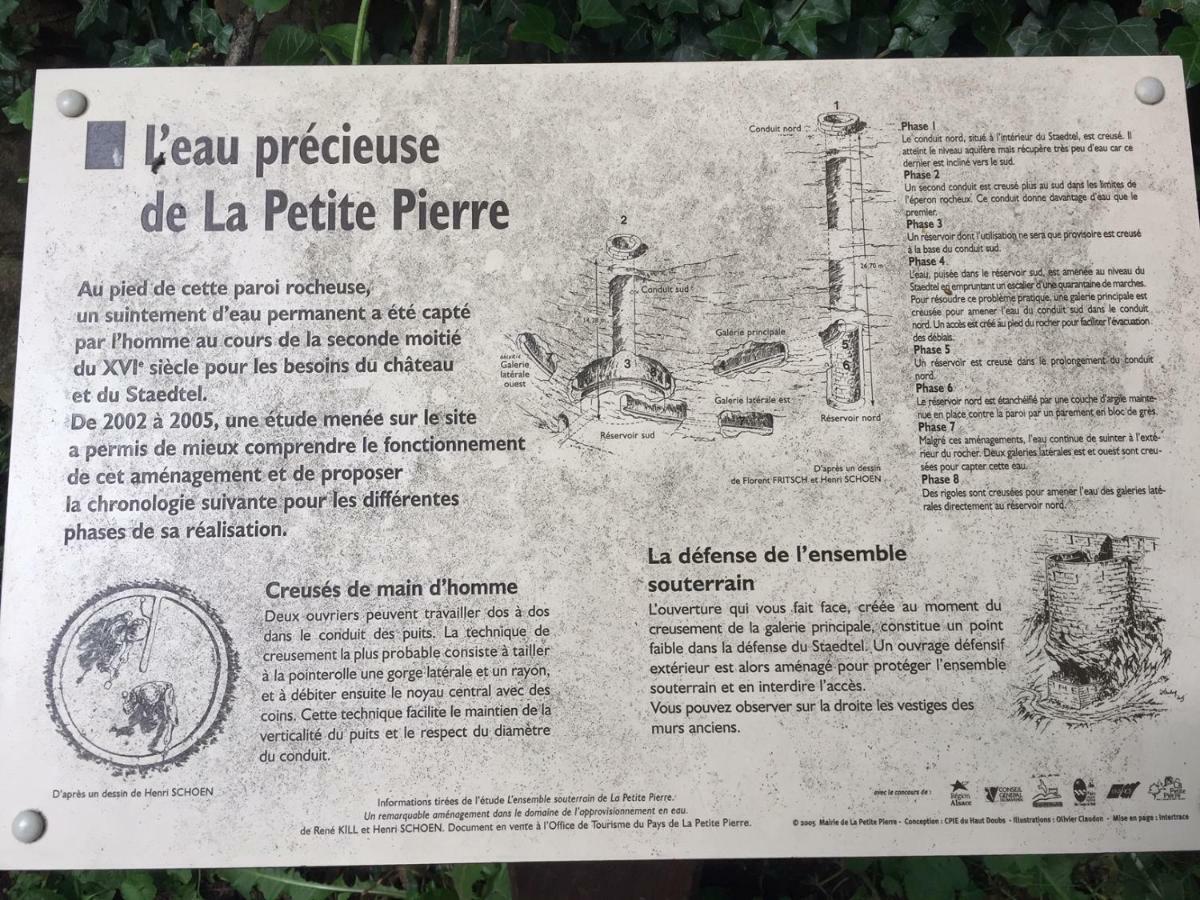 La Dependance De La Villa Des Oiseaux - La Petite Pierre Dış mekan fotoğraf